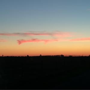 Bandoneón Concert, Op. 308:III. Calmo e Inmóvil