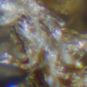 The Test (feat. Fly Anakin)