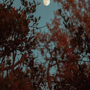 二人で逃げ去りたい