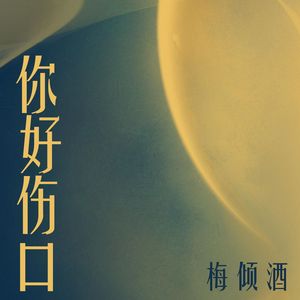 你好伤口