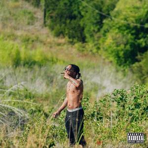 Seedless (feat. Jahn Dough)