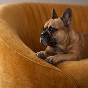 Je Ne Me Presse Plus (feat. Violette Valois)