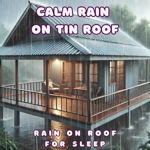 Soft Drizzle on Tin Roof