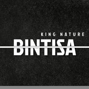 Bintisa