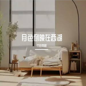 月色倒映在西湖