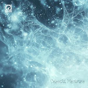 Fractal Consciousness