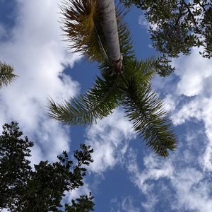 下个目的地是海滨