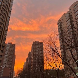 《杜鹃》（失败版，但是音色像gai哥）