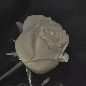 [FREE不可商用] '语音备忘录' R＆BTrap Soul6lack Type Beat