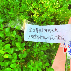 爱的天空下（刘琦）