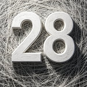 28
