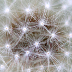 Neuromodulation (tCDS) (feat. DJ No Crust)