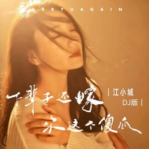 下辈子还嫁你这个傻瓜 (DJ豪大大版)