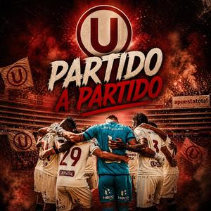 Partido a partido