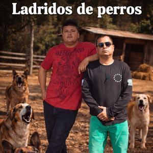 LADRIDOS DE PERROS