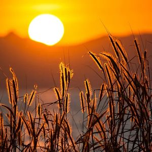 曾沿着雪路浪游