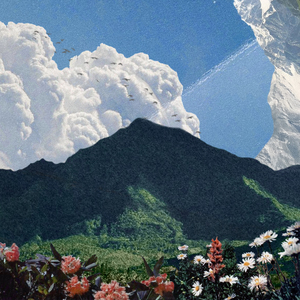 Full Bloom