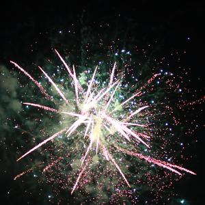 我是真的爱上你