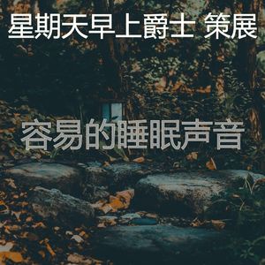 一尘不染午餐印象数