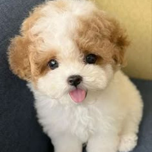 The Saddest Thing Of All (sped up)