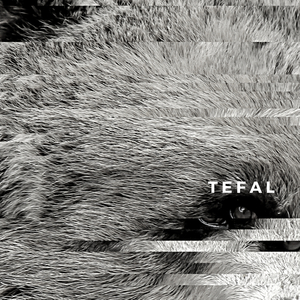 Tefal