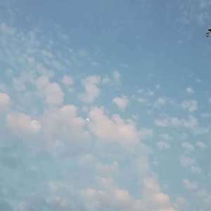 我多想回到那个夏天（翻自 傲七爷）