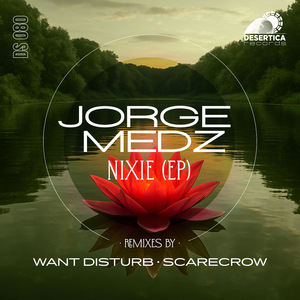 Nixie (Want Disturb Remix)