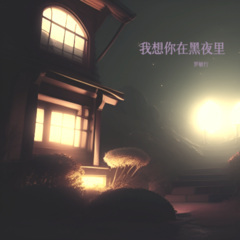 我想你在黑夜里 (纯钢琴独奏)