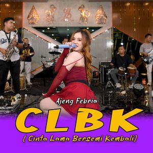 CLBK Cinta Lama Bersemi Kembali