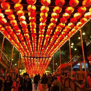 泪与风化作雨中梦