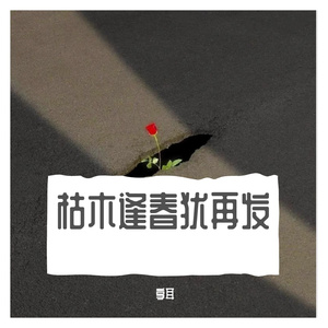 平胸女子