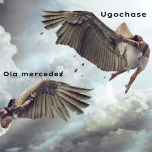 Fly