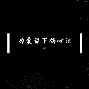 为爱留下伤心泪-（萨克斯独奏）