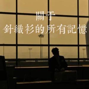 关于针织衫的所有记忆