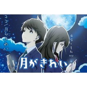 月がきれい