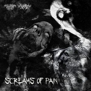 SCREAMS OF PAIN (feat. W7RD)