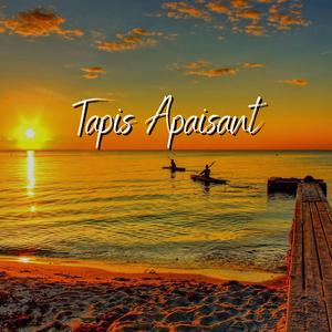 Tapis Apaisant