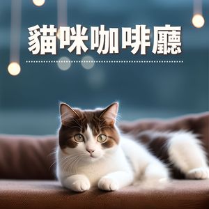 猫咪摇篮曲