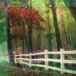 Seasonal