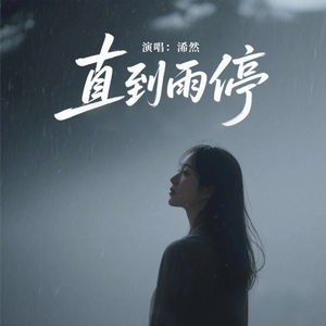直到雨停