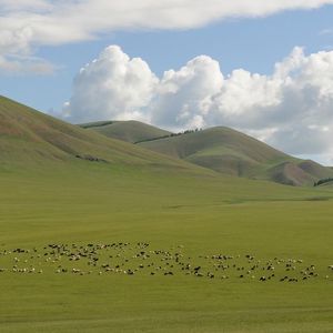 The Earth Breath Storm Over the Steppe (大地之息)