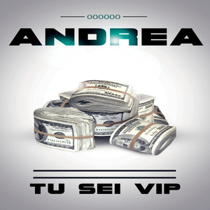 Tu sei vip