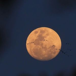 江湖恩怨情仇 伴奏