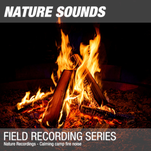 Nature Sounds for Sleep, Relaxation & Meditation (Calming camp fire noise) 01