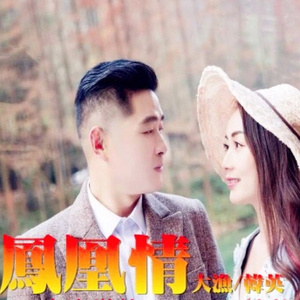 凤凰情 (广场舞版)