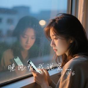 晚风替我说爱你