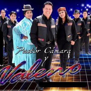 Wistu Vida (Cover)