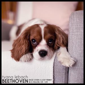 Rage Over a Lost Penny in G Major, Op. 129