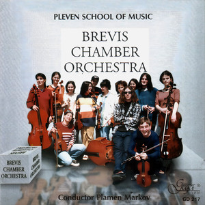 The Four Seasons, Concerto No. 1 in E major, Op. 8, RV 269, "Spring":II. Largo e pianissimo sempre