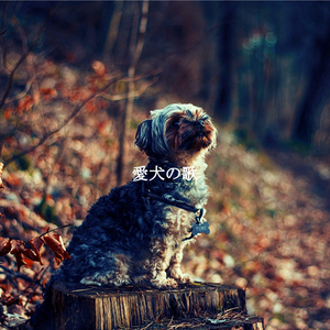 Chilled (Office Days)